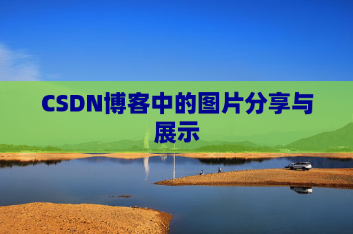 CSDN博客中的图片分享与展示